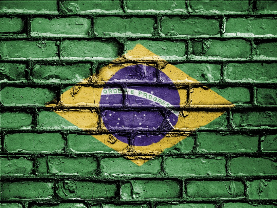 Economic Salvation: Can Privatization Prove to be Prudent for Brazil?